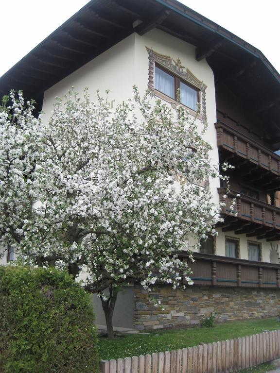 Gaestehaus Braunegger Stumm Exterior photo